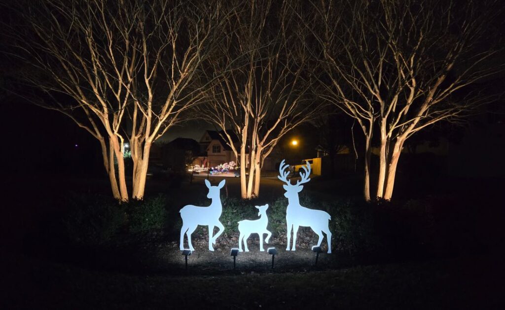 It’s beginning to look a lot like Christmas….