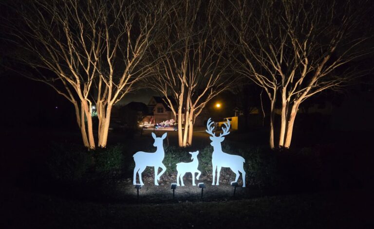 It’s beginning to look a lot like Christmas….